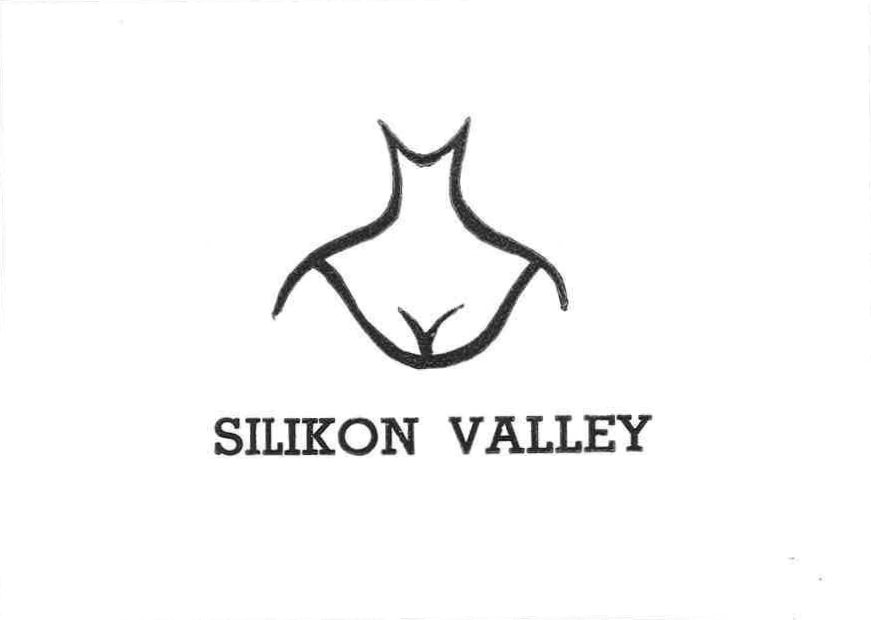 Karte Silicon Valley