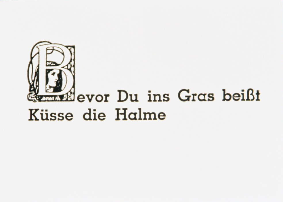 Karte ins Gras beissen